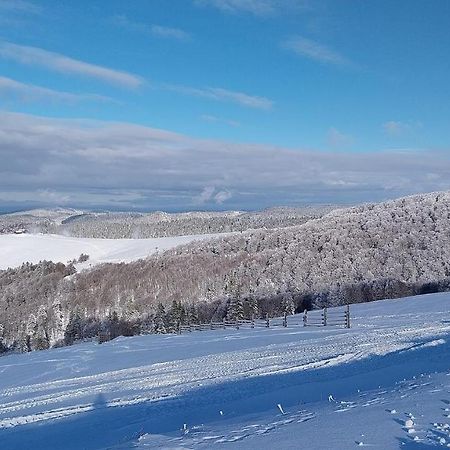 Grand'Roche Διαμέρισμα Cornimont Εξωτερικό φωτογραφία