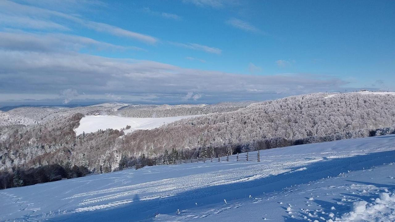 Grand'Roche Διαμέρισμα Cornimont Εξωτερικό φωτογραφία