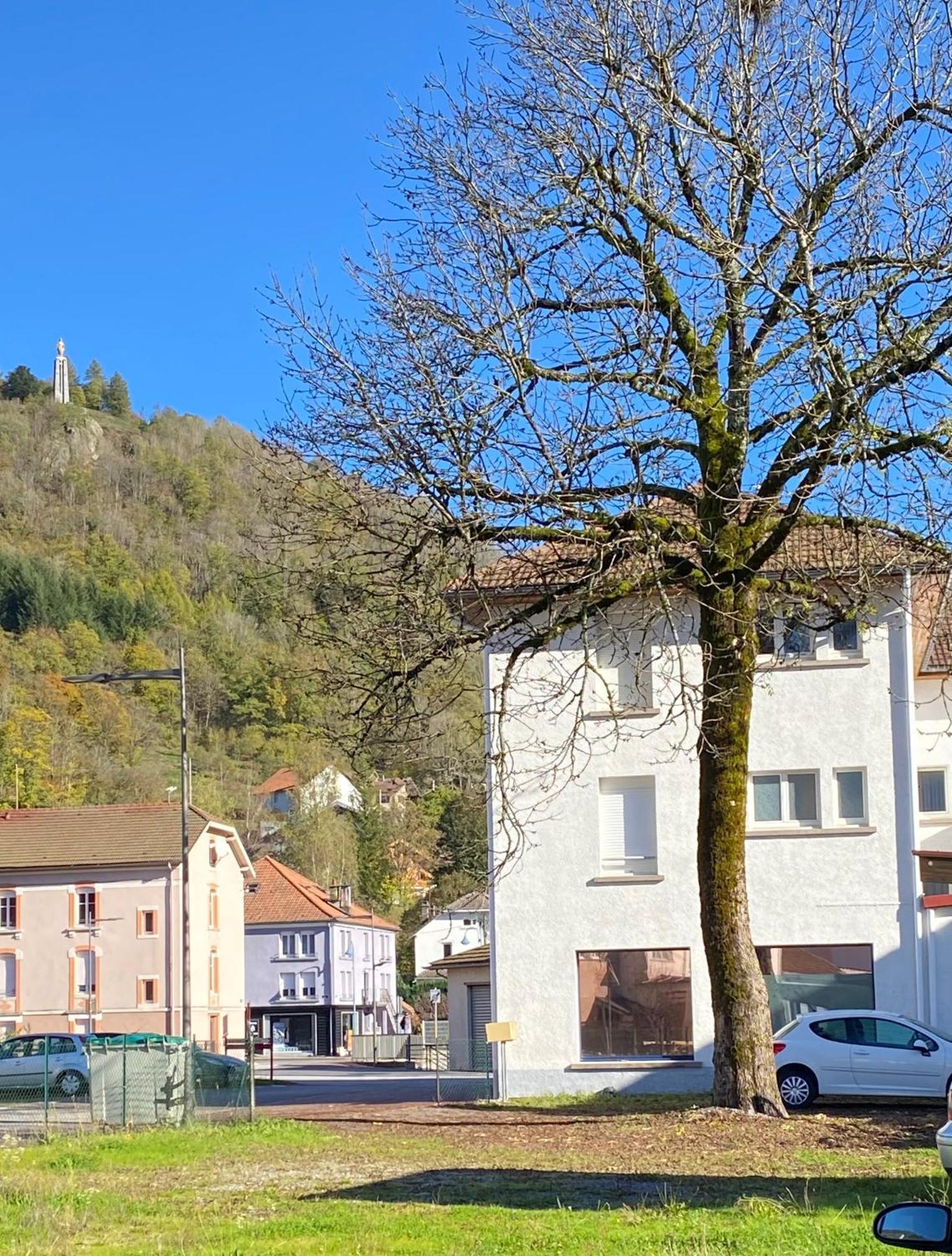 Grand'Roche Διαμέρισμα Cornimont Εξωτερικό φωτογραφία